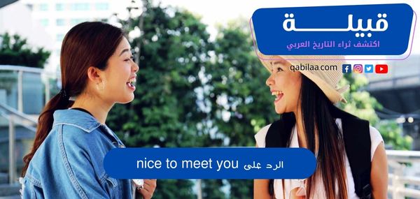 الرد على nice to meet you