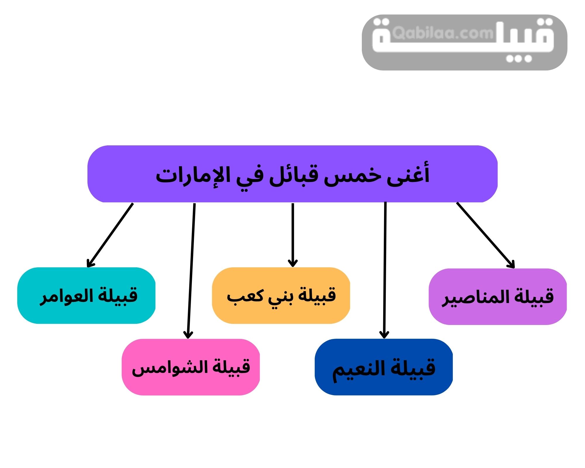 أشهر وأغنى قبائل الإمارات؛ تعرف على 3 عائلات الأكثر ثراءً