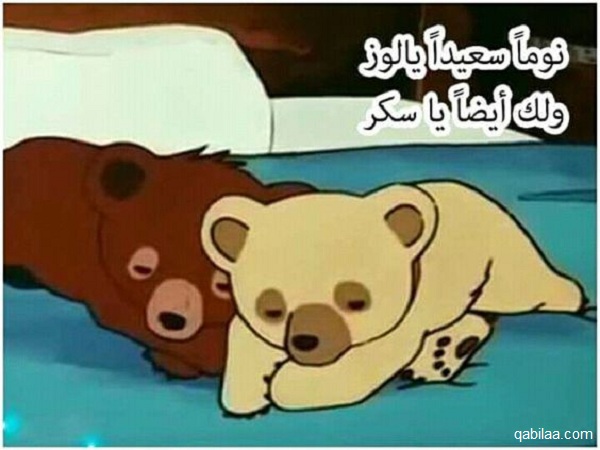 الرد على كلمة نوم الهنا