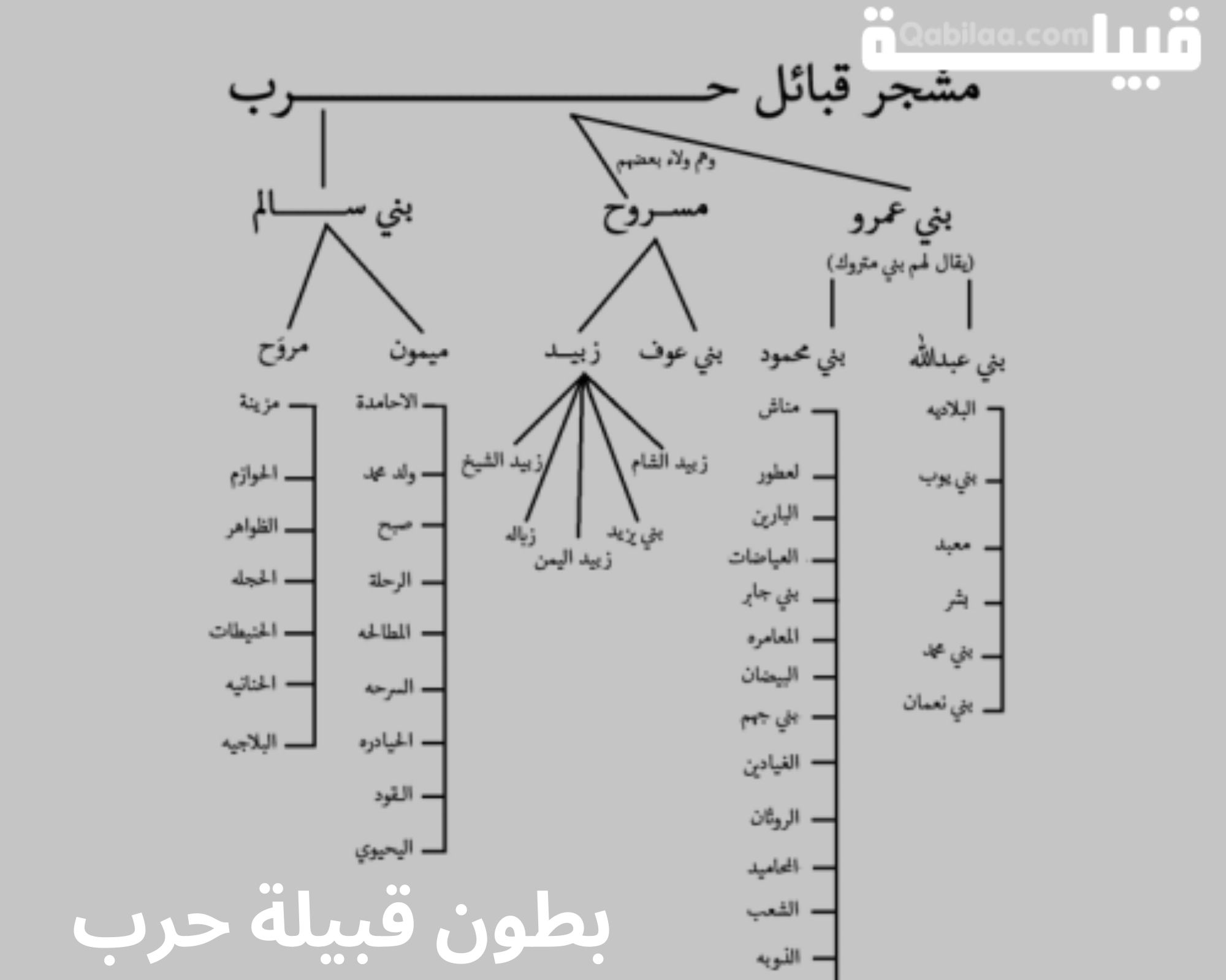 قبيلة حرب في مصر