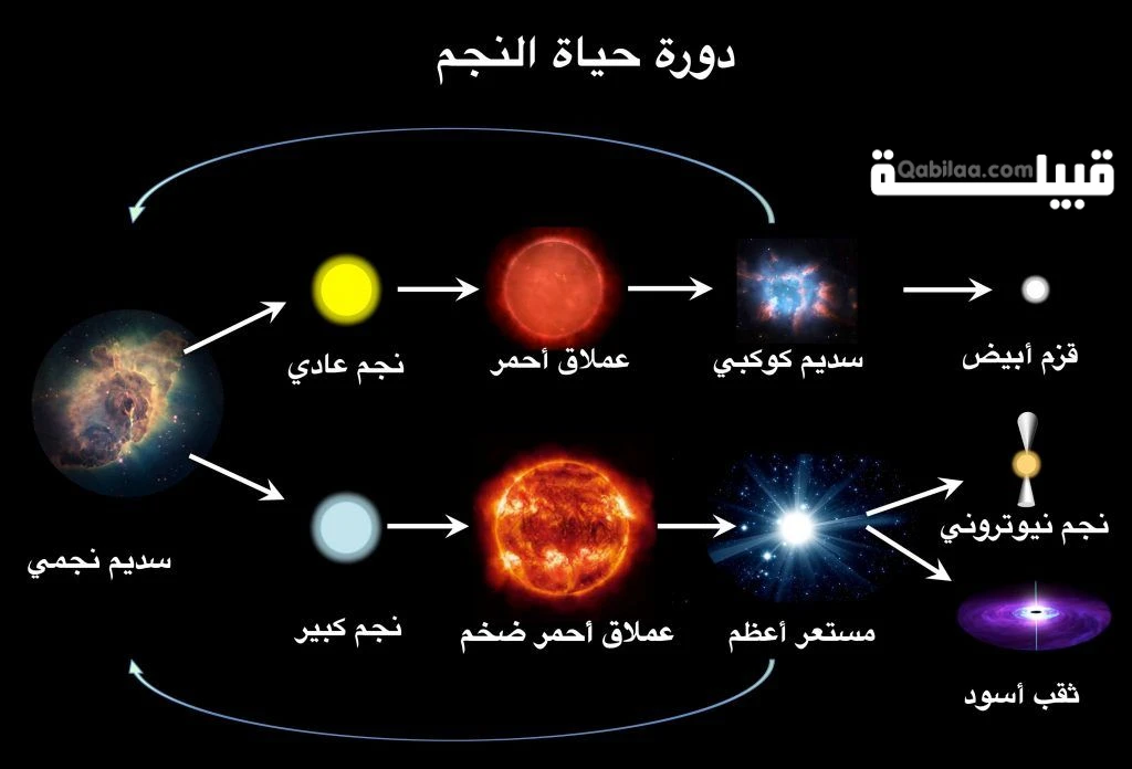 مراحل حياة النجمة من ميلادها حتى موتها