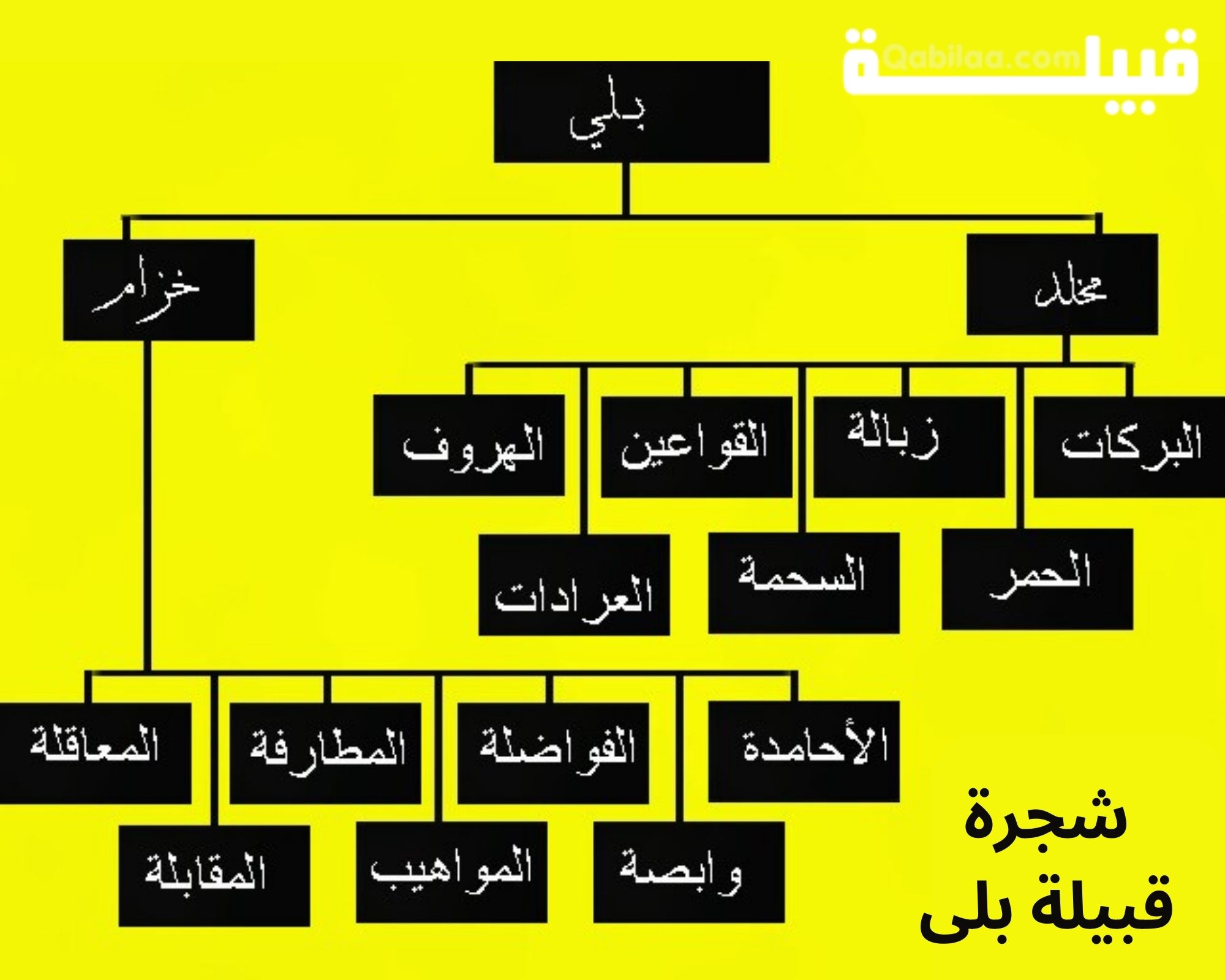 قبيلة بلى