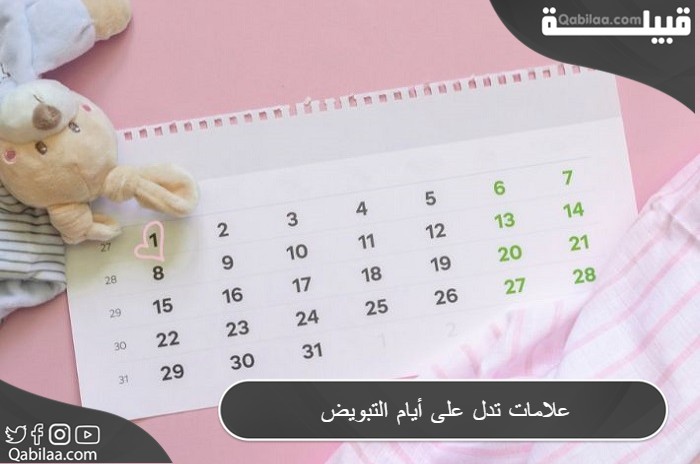 علامات تدل على أيام التبويض