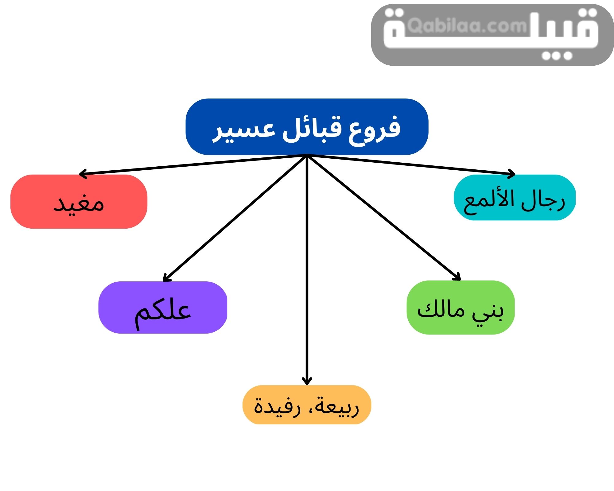 عدد قبائل عسير