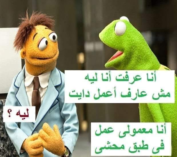 نكت الضفدع الاخضر