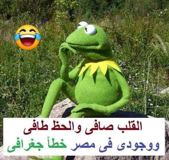 23+ من نكت الضفدع كيرميت مضحكة جديدة 2025