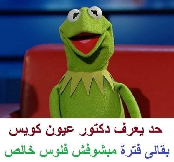 23+ من نكت الضفدع كيرميت مضحكة جديدة 2025