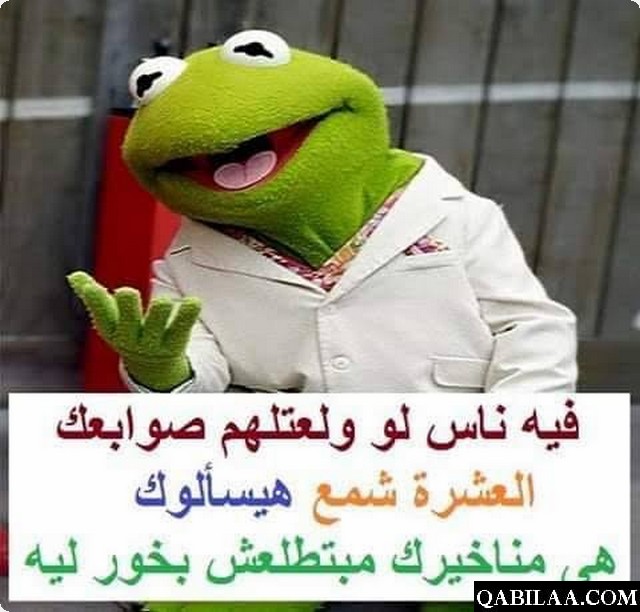 نكت الضفدع مضحكة