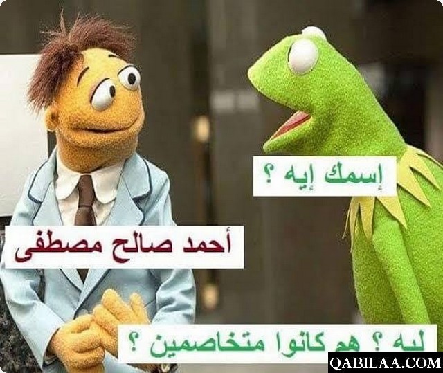 نكت الضفدع مضحكة