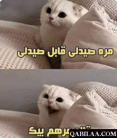 نكت بايخة جدا