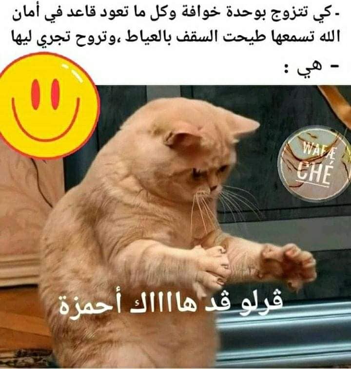 نكت جزائرية مضحكة