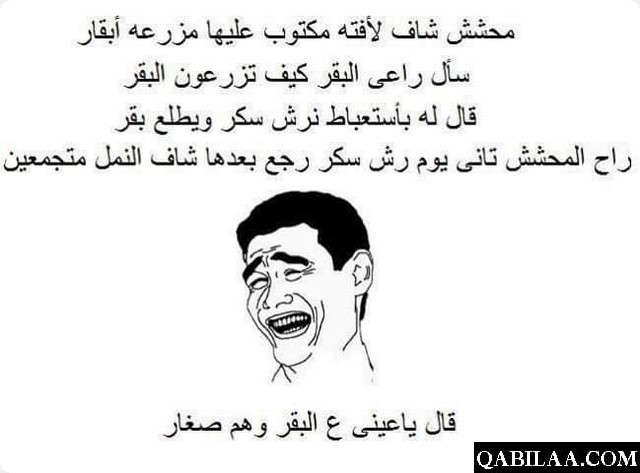 نكت عن النمل