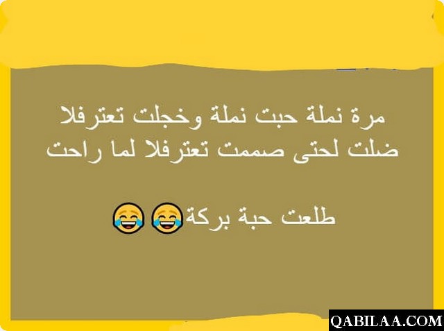 نكت عن النمل