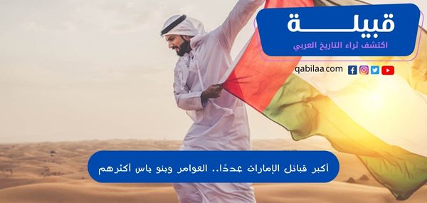 أكبر قبائل الإمارات عددًا.. العوامر وبنو ياس أكثرهم