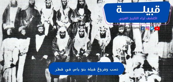 نسب وفروع قبيلة بنو ياس في قطر