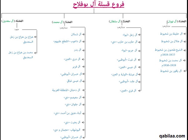 شجرة قبيلة آل بوفلاح