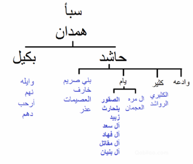 شجرة قبيلة وادعة