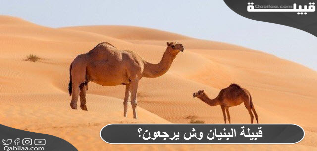 قبيلة البنيان وش يرجعون؟