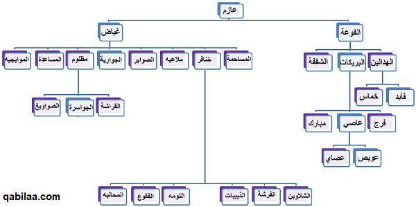 قبيلة العوازم.. شجرة العائلة ونسبها