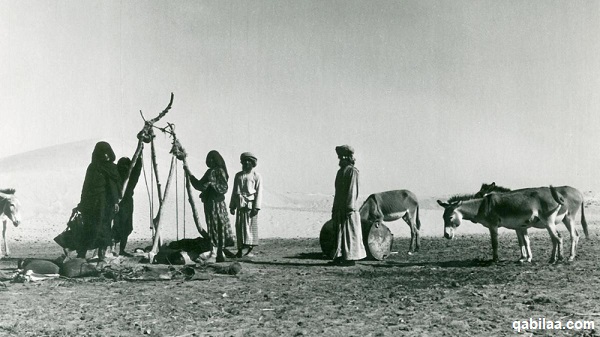 قبيلة القواسم.. تاريخهم ونسبهم وأبرز من حكموهم