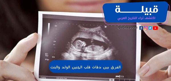 الفرق بين دقات قلب الجنين الولد والبنت