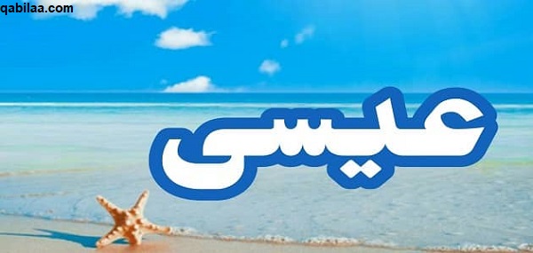 معنى اسم عيسى