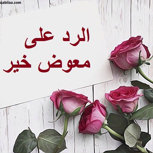 الرد على معوض خير