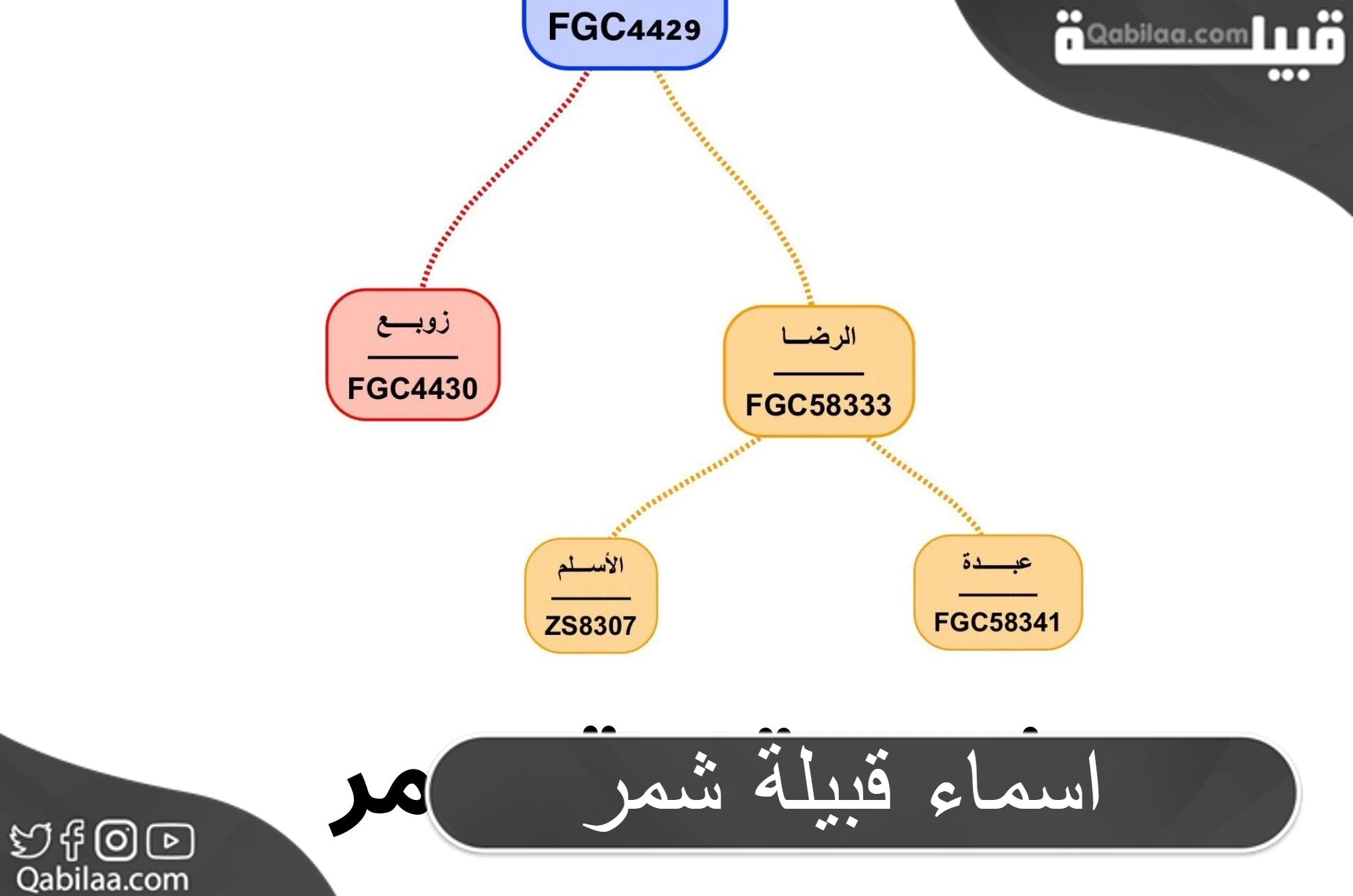 اسماء قبيلة شمر