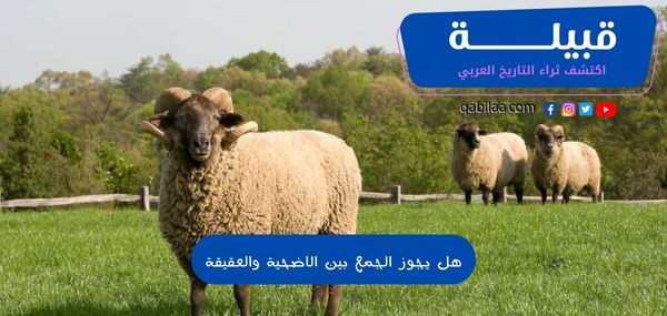 هل يجوز الجمع بين الاضحية والعقيقة