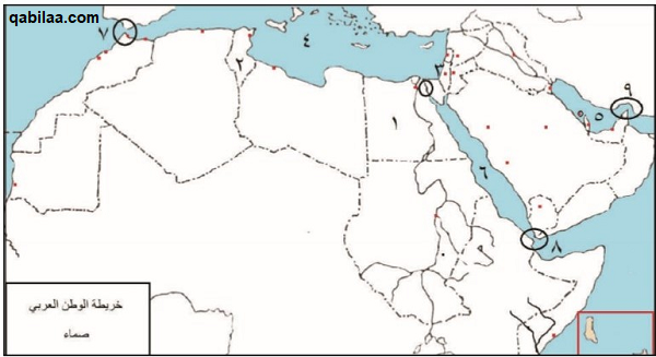 خريطة الدول العربية بالمدن كاملة صماء