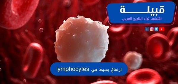 ارتفاع بسيط في lymphocytes