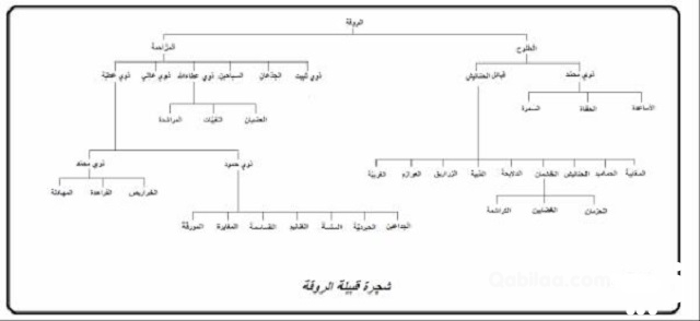 الحمادي وش يرجع؟