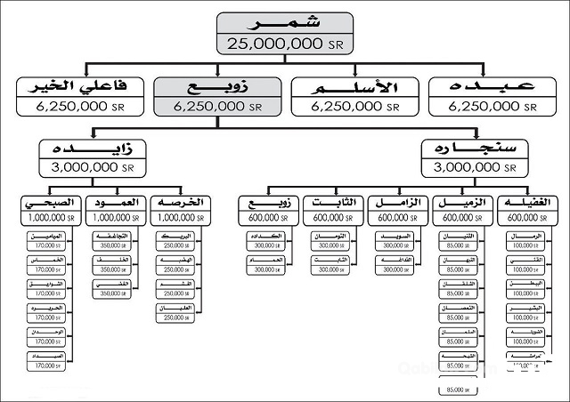 الخليوي وش يرجعون، أصل عائلة الخليوي