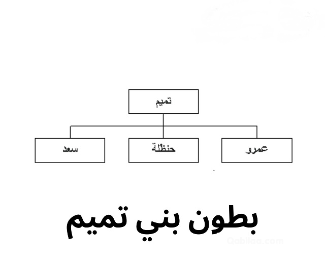 السقامي وش يرجع؟