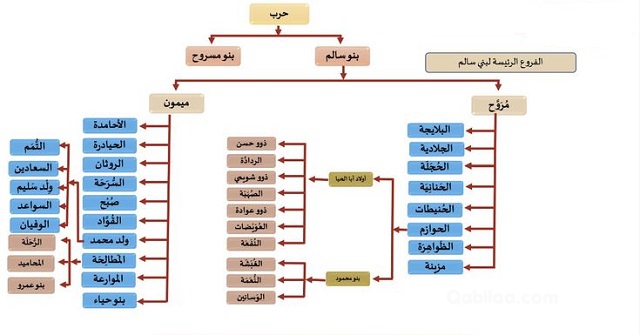 السلمي وش يرجع؟