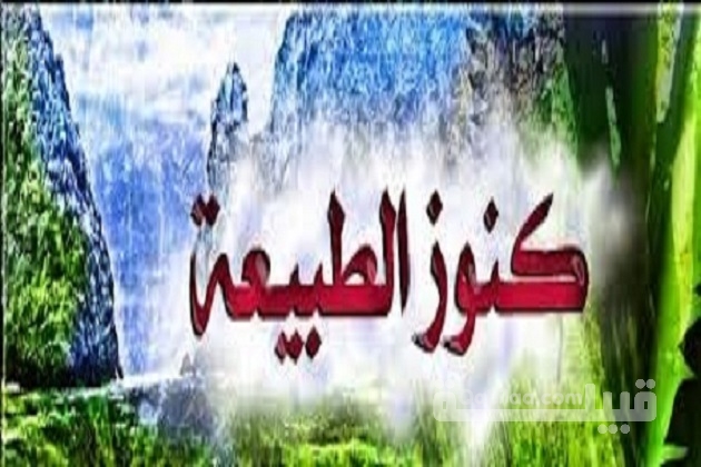 تردد قناة كنوز الطبيعة