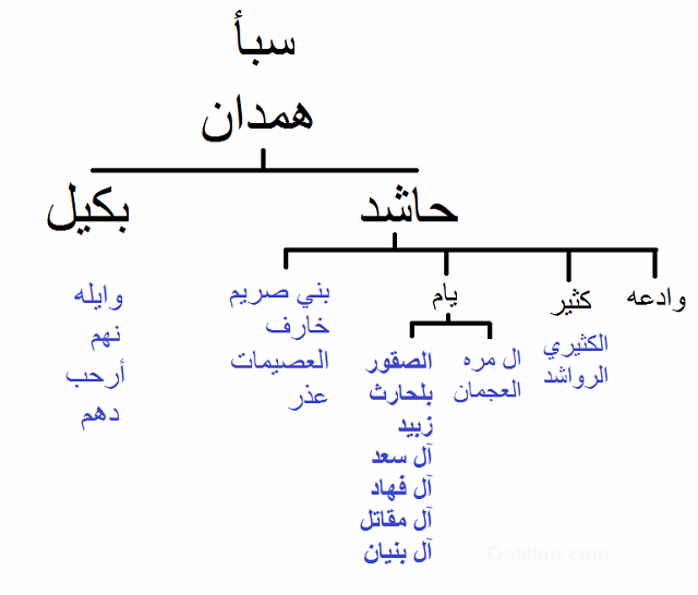 عائلة عكام وش يرجع؟