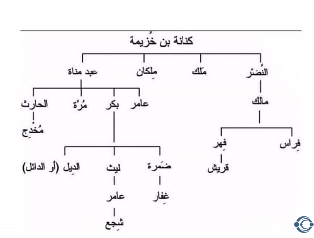 أصل عائلة البذالي من وين؟