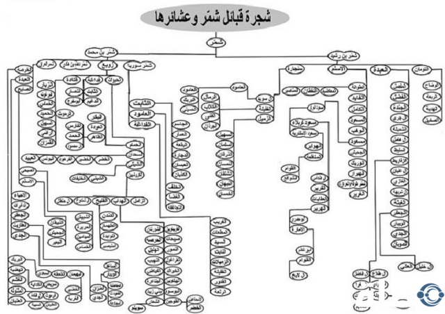 أصل ونسب قبيلة الجبارة وش يرجعون؟