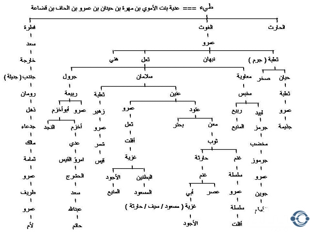 الدبيسي وش يرجع؟