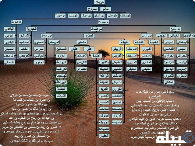 رمز قبيلة بني عمرو