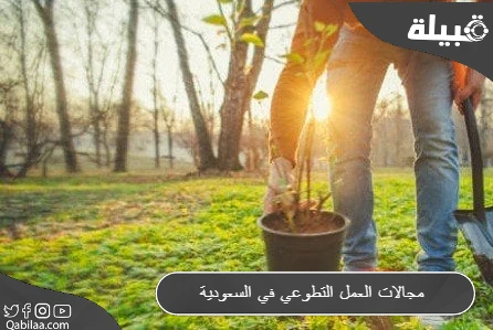 مجالات العمل التطوعي في السعودية