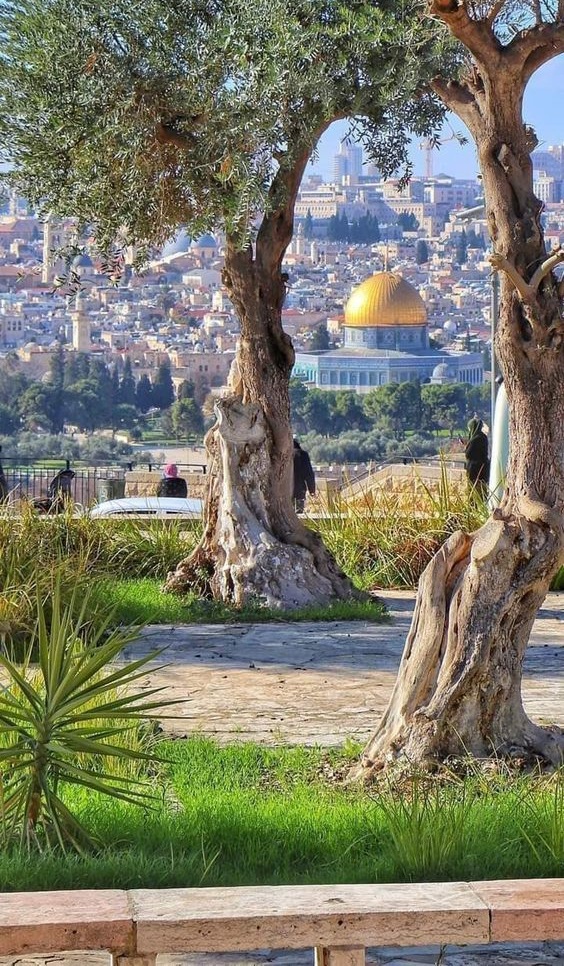 صور عن القدس والمسجد الأقصى