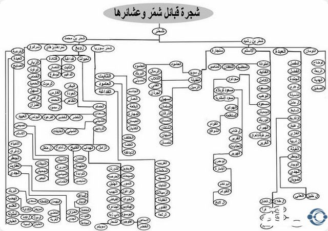 عشيرة الشمري سنة أم شيعة