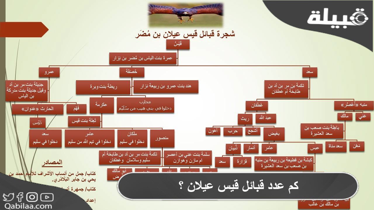 كم عدد قبائل قيس عيلان ؟