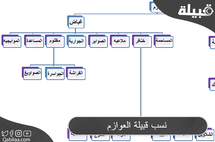 نسب قبيلة العوازم