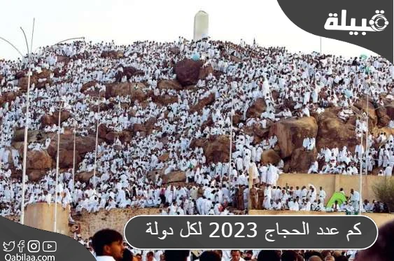 كم عدد الحجاج 2025 لكل دولة