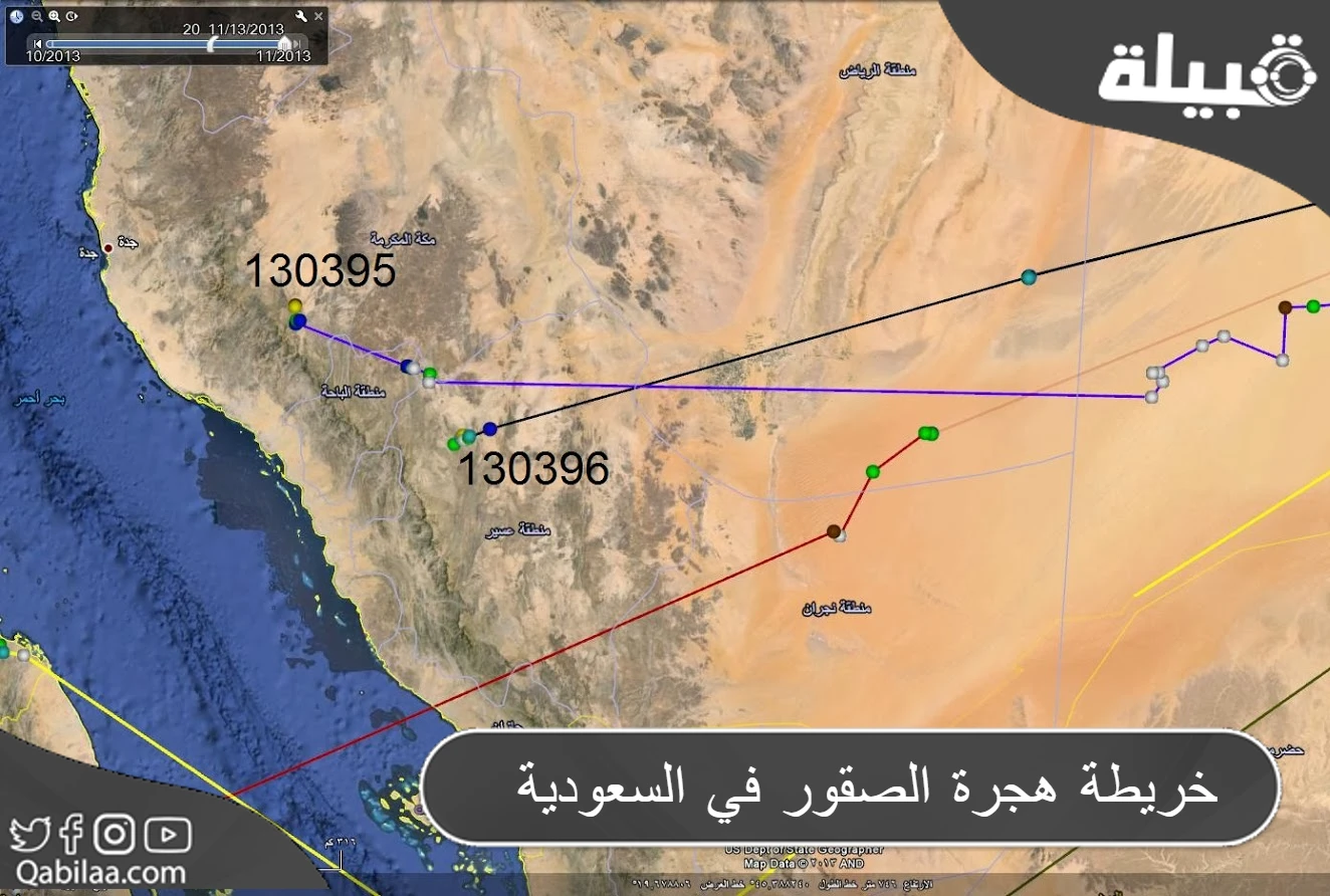 خريطة هجرة الصقور في السعودية