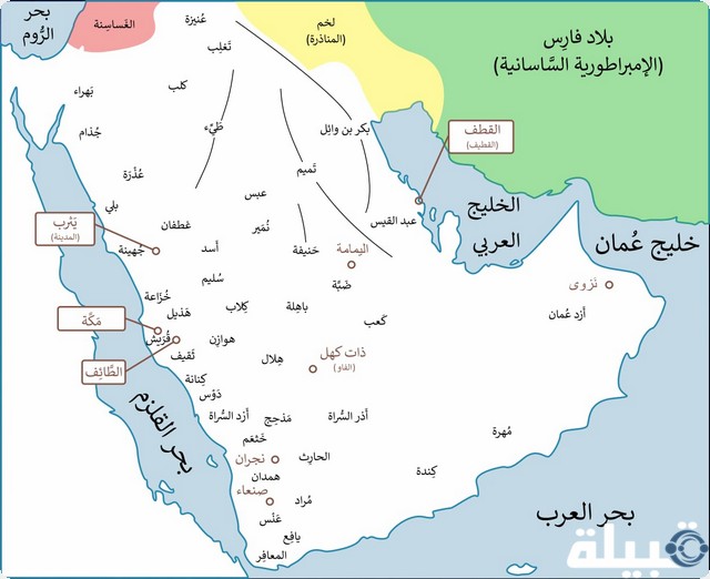 أكثر عدد قبيلة في مصر