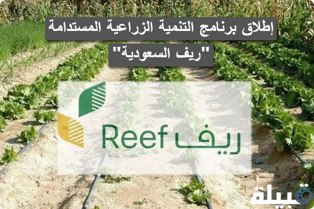 برنامج التنمية الزراعية المستدامة